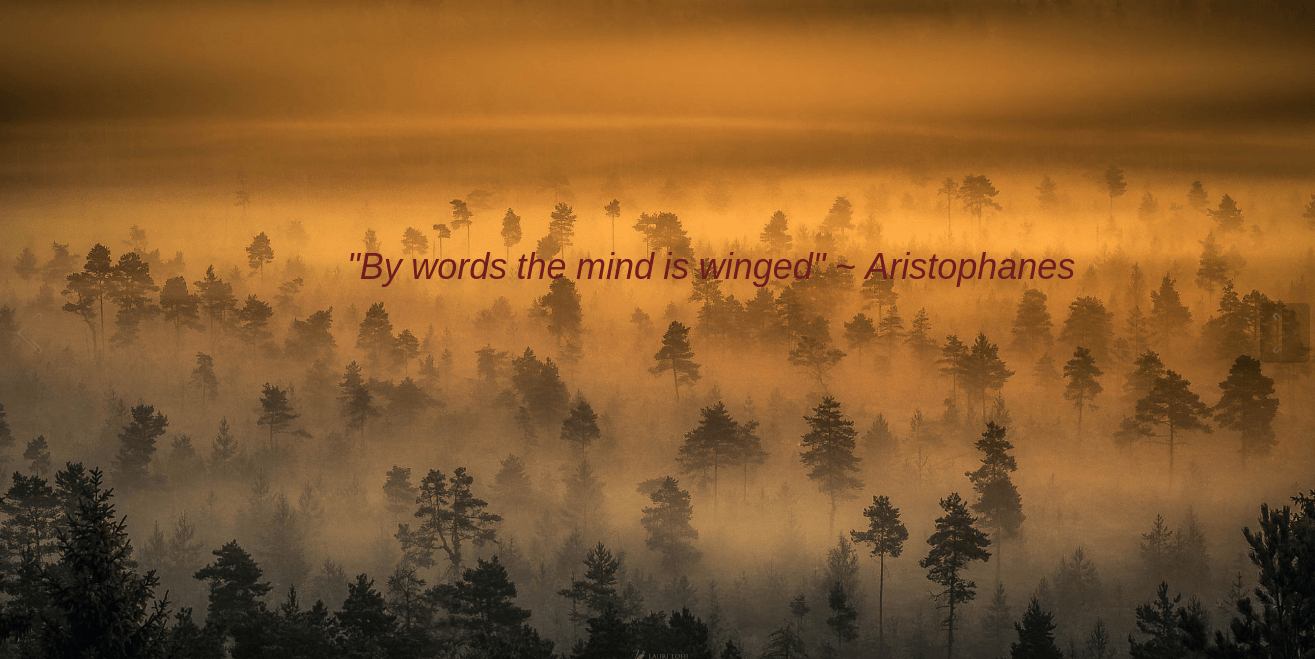 Morning by Lauri Lohi