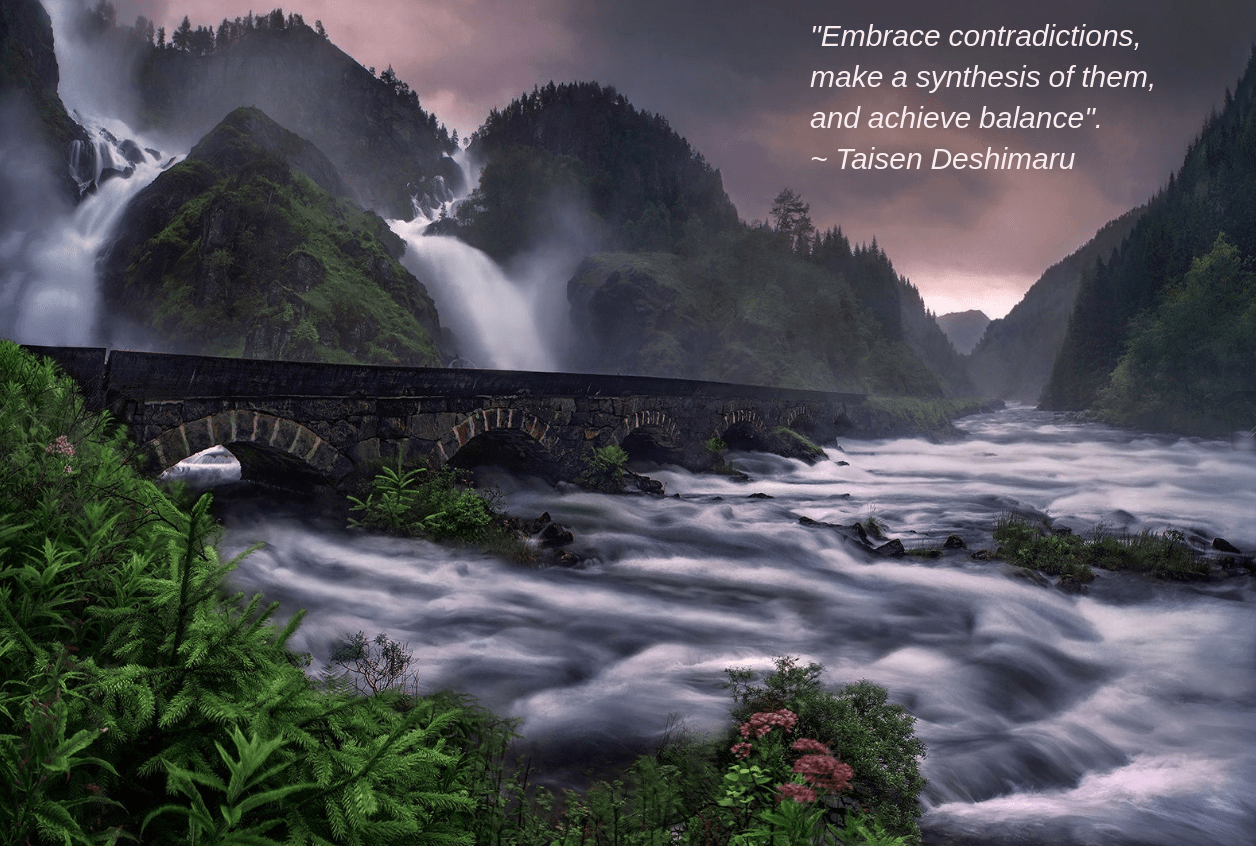 Forest from Max Rive