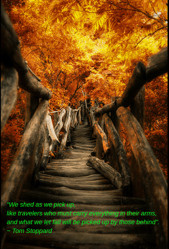 golden path by Hanson Mao