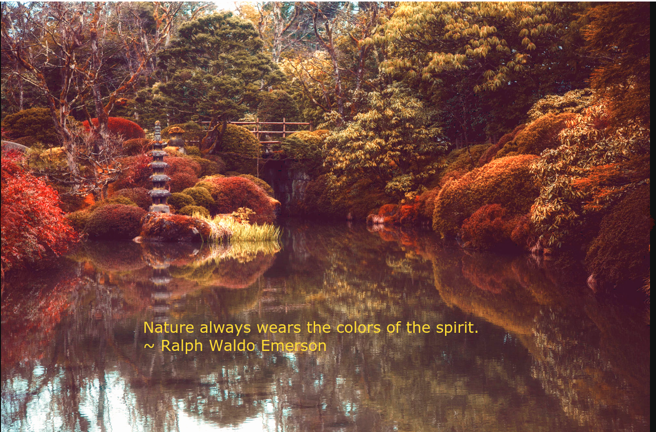 Japanese garden by Hanson Mao