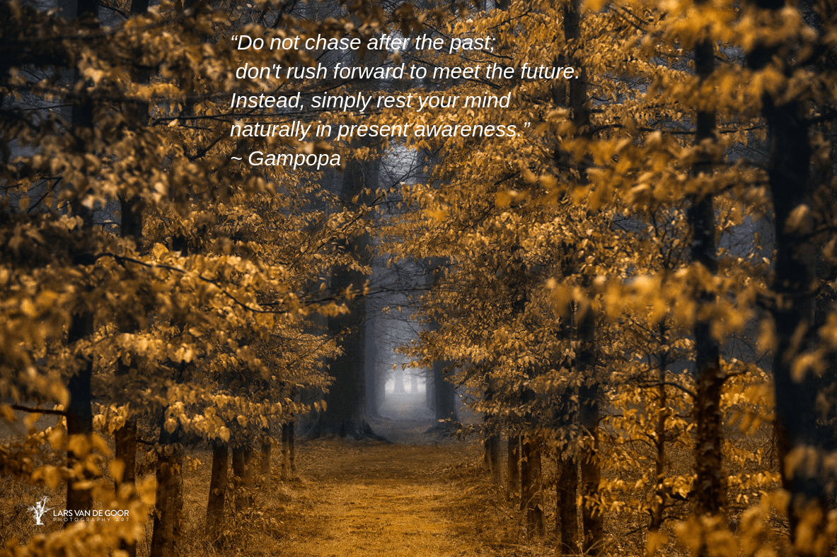 Midas lane from Lars van de Goor