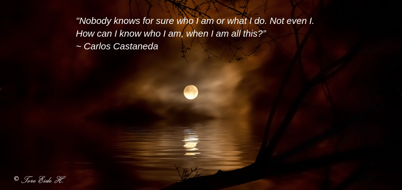 midnight from Tore H