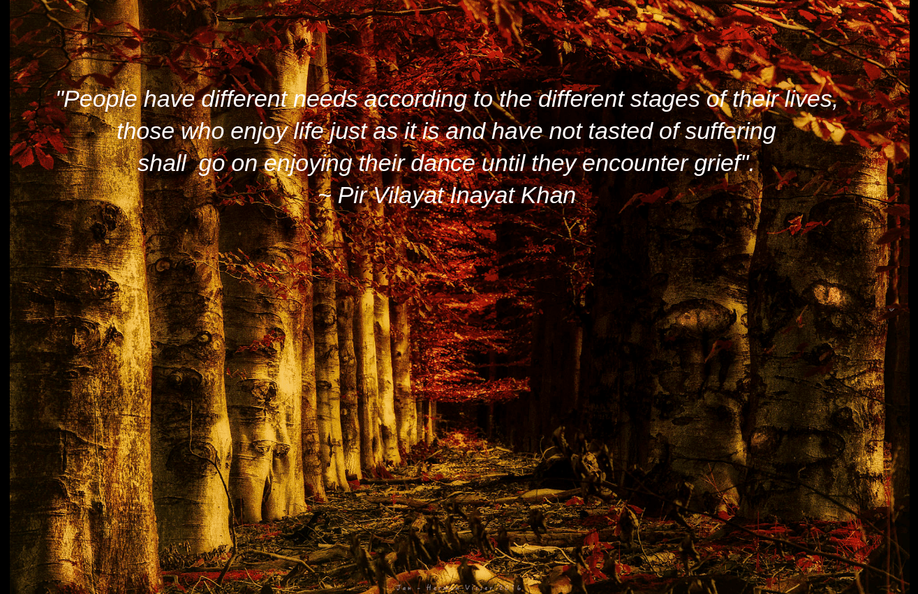 Forest from Jan - Herman Visser