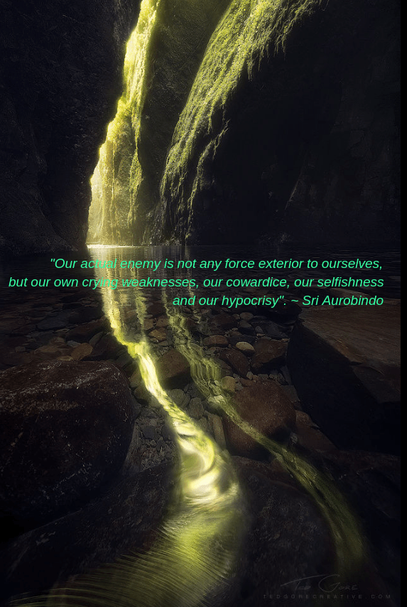 Reflections by Ted Gore