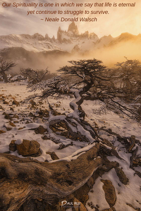 WInter in Patagonia by Paul Ruji