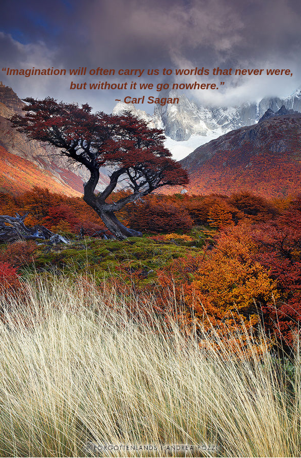 forgotten-b-y-andrea-pozzi