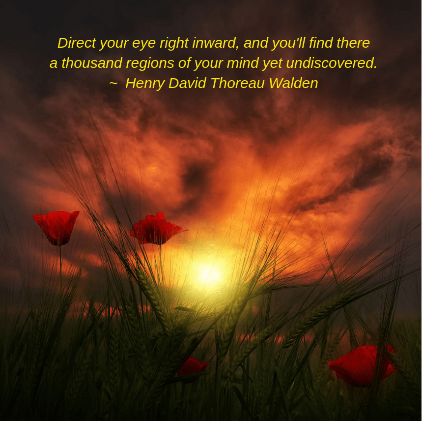 sunset-from-tams-hauk