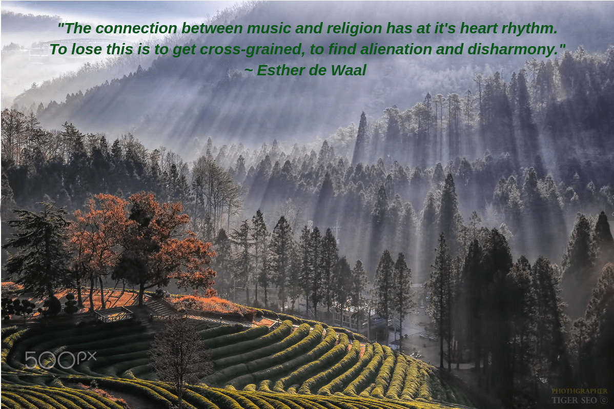 tealand-at-bo-by-tiger-seo