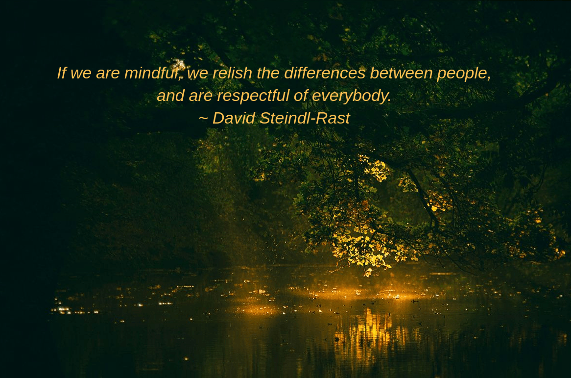 flies-by-thomas-ranzika