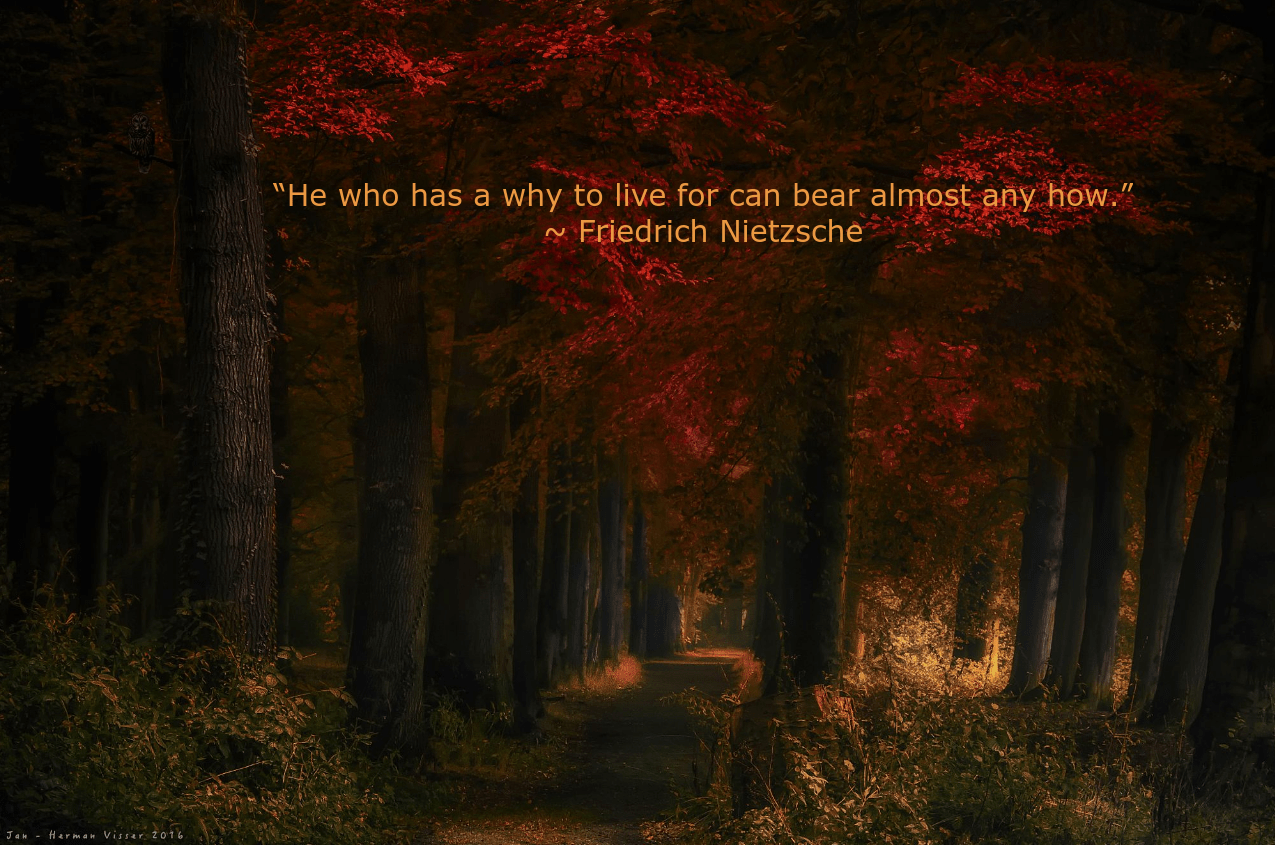 indian-summer-by-jan-herman-visser