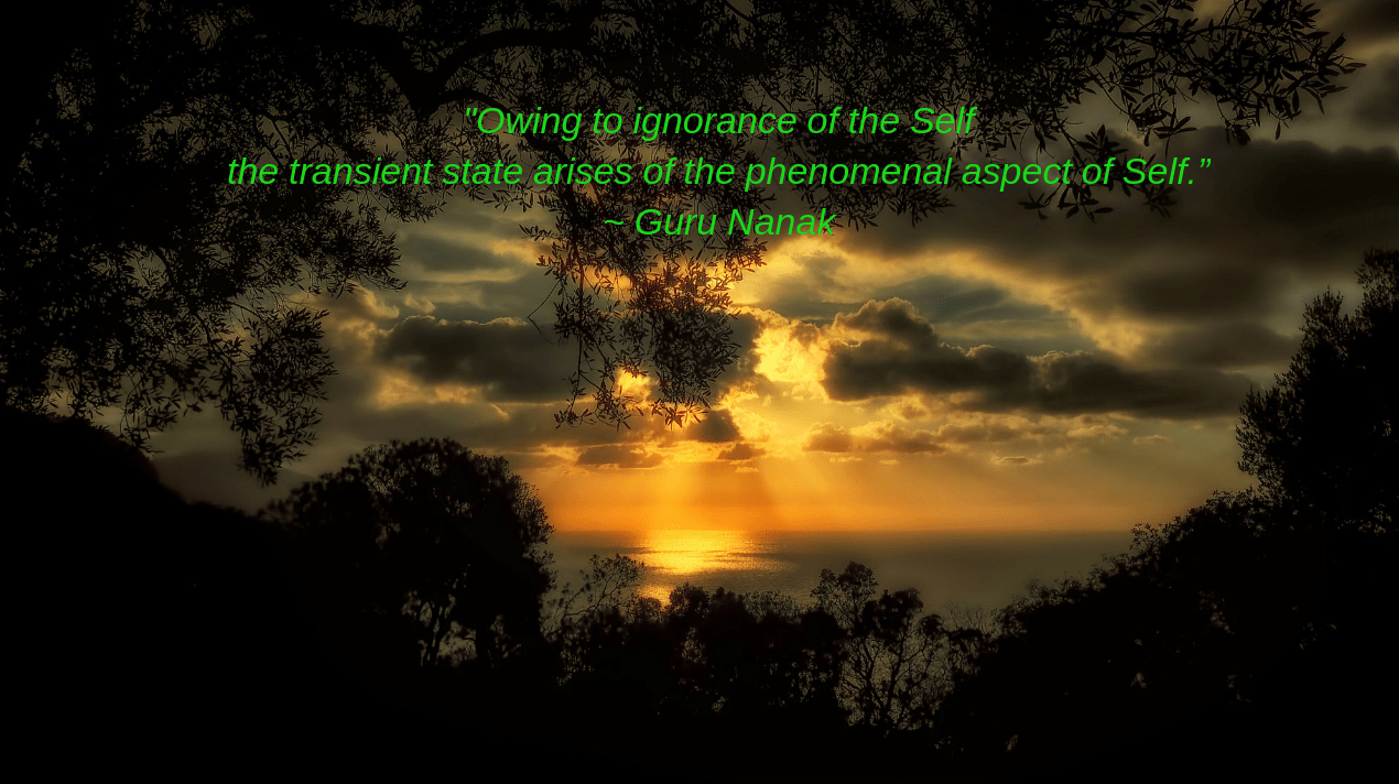 mallorca-from-dirk-seifert