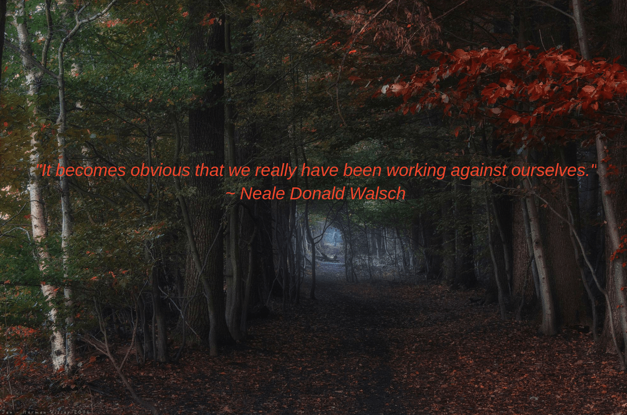 Morning from Jan - Herman Visser.png