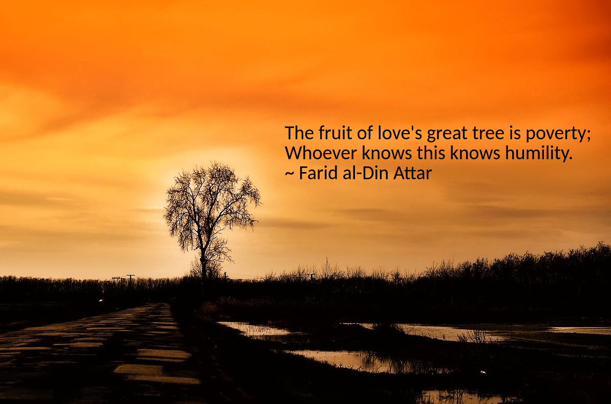 evening-road-from-arpad-kovacs