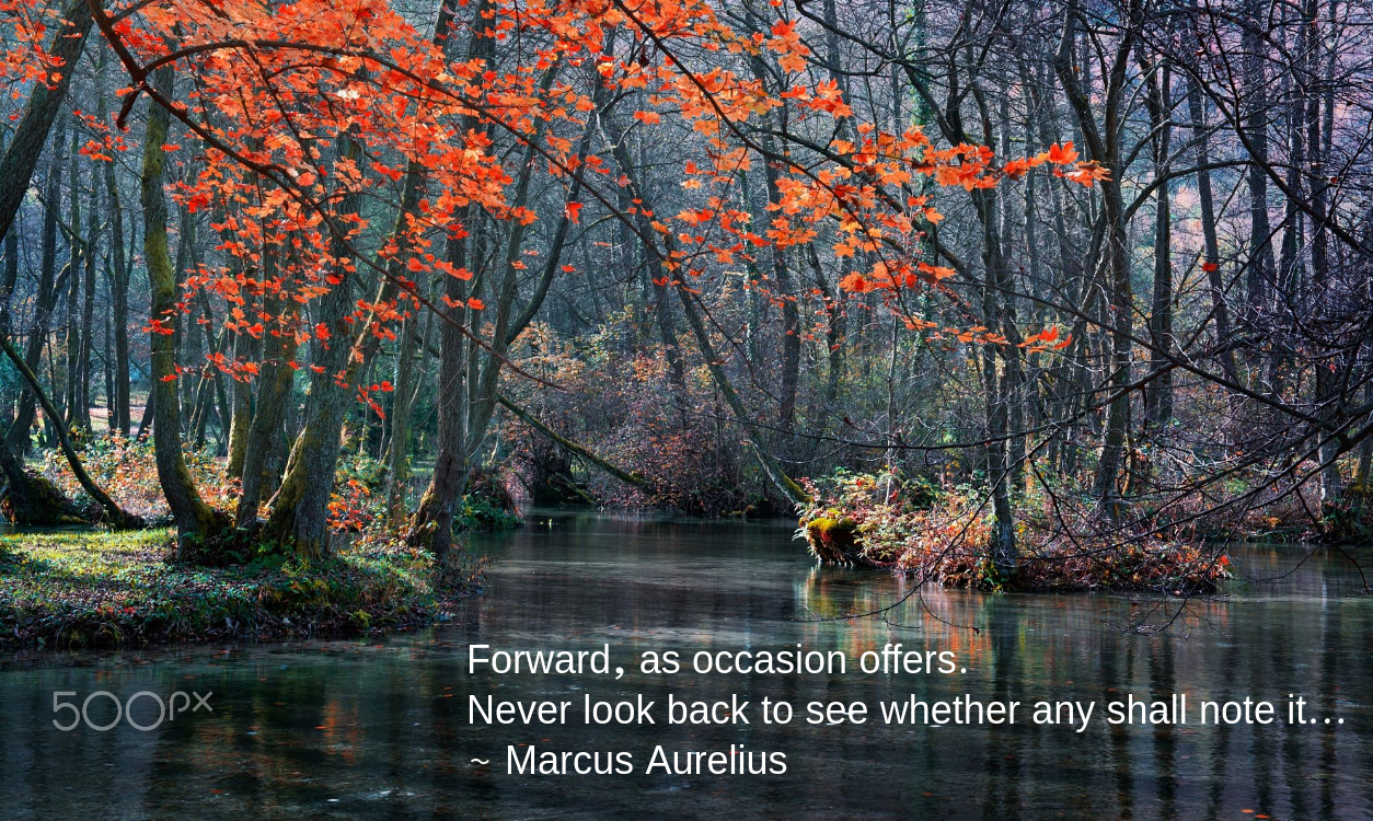 silence-from-mevludin-sejmenovic