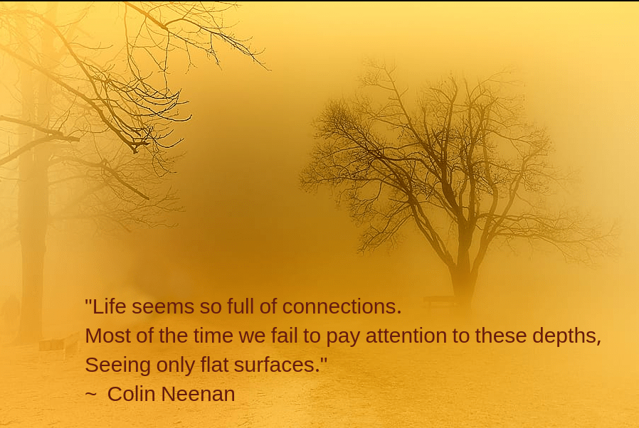 mist-by-arpad-kovacs