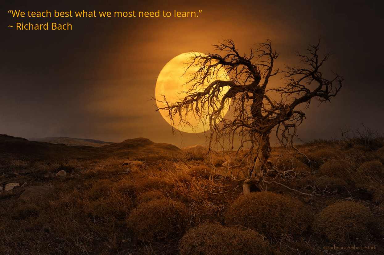 moonlit-from-barbara-seiberl-stark