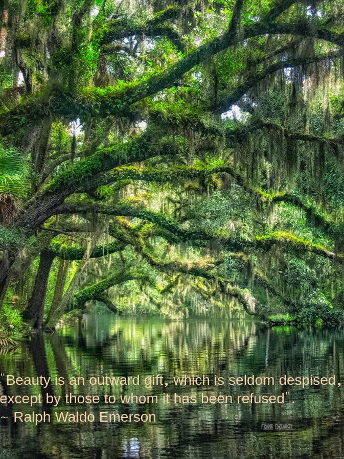 riverside-by-frank-delargy