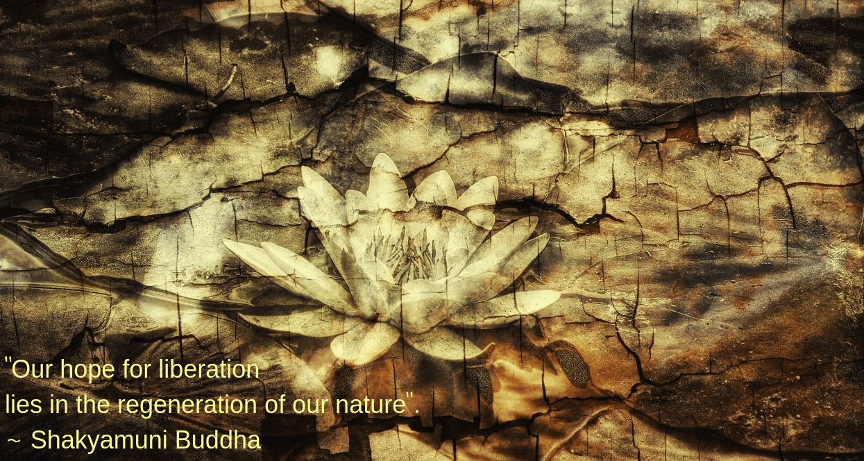 lotus-by-heiko-dhrling