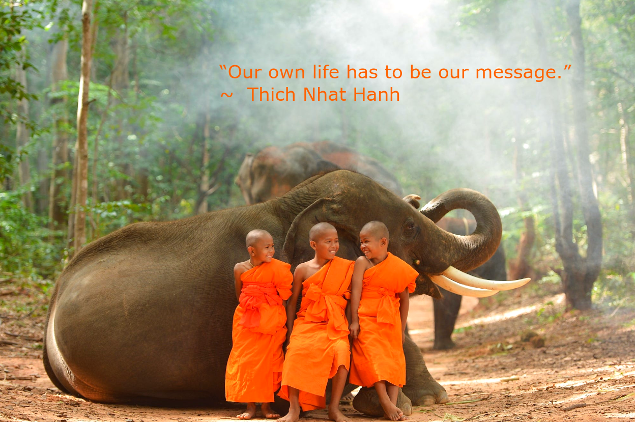 novices-from-saravut-whanset