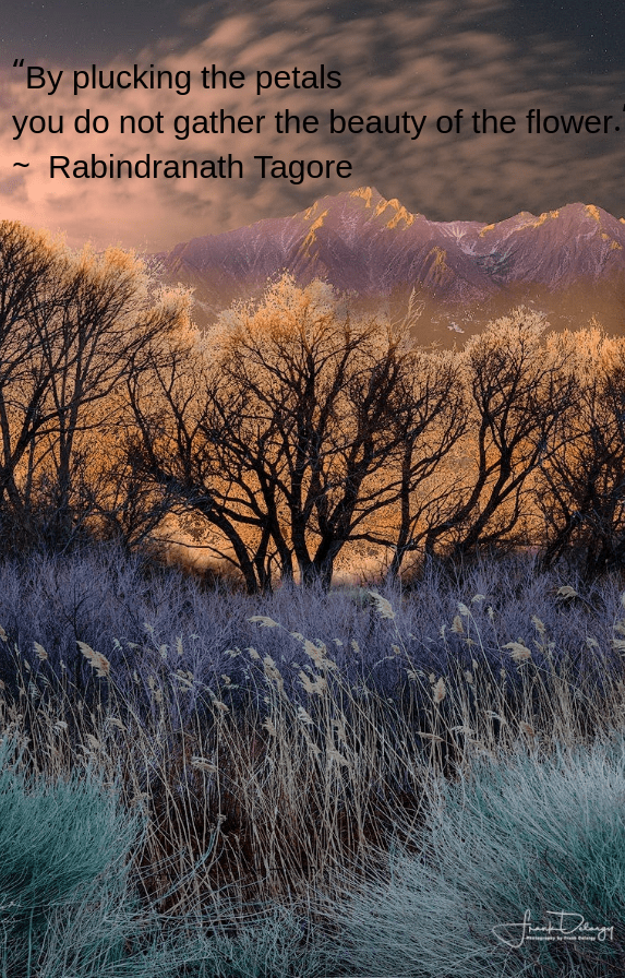 sierra-by-frank-delargy