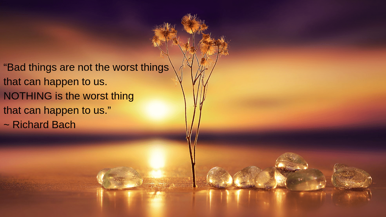 stelo-from-anna-ovatta