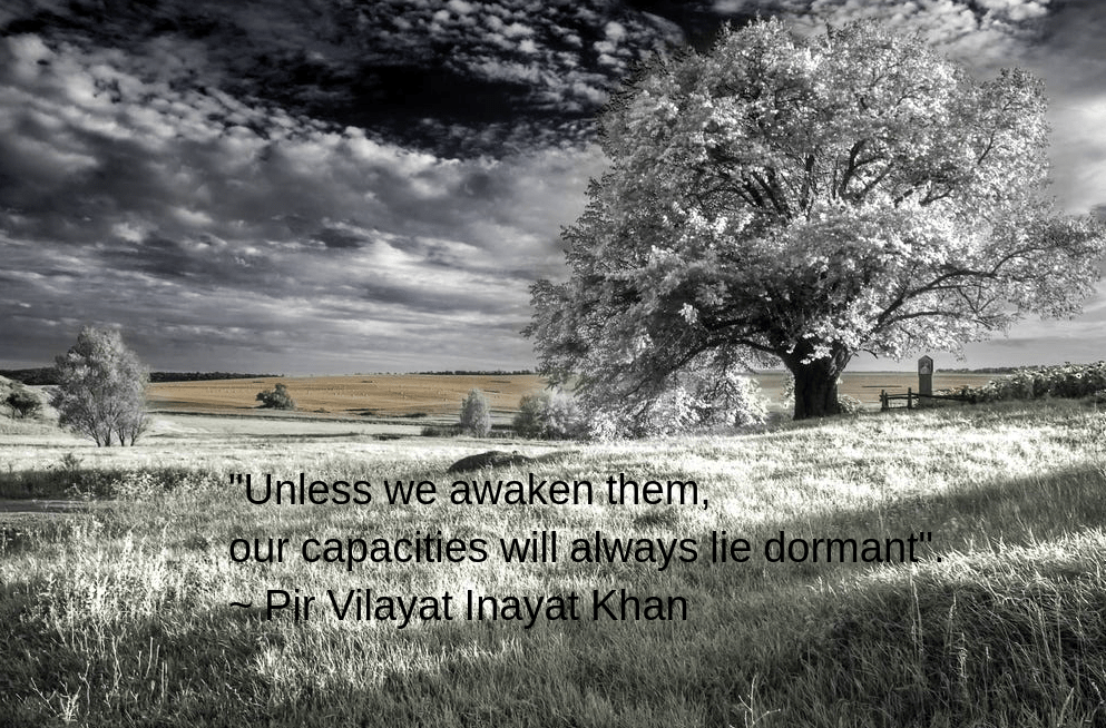 winter-from-ferenc-szab