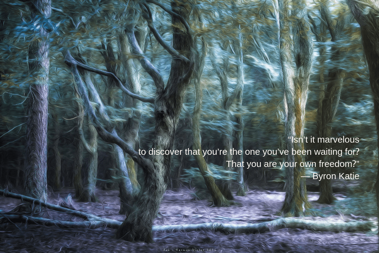 forest-from-jan-herman-visser