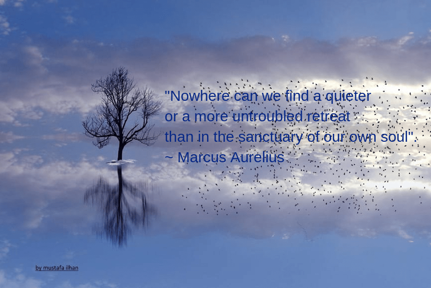 reflections-from-mustafa-ilhan