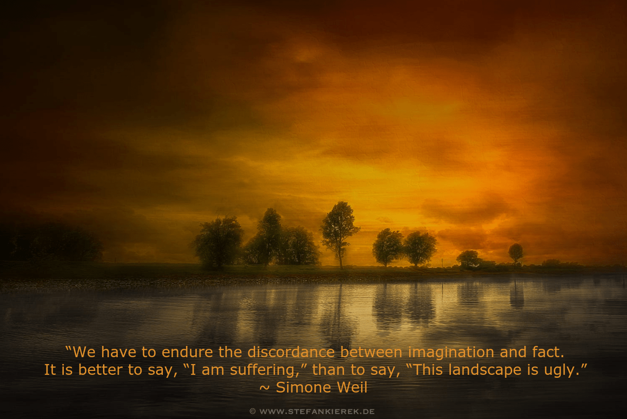 rhine-by-stefan-kierek