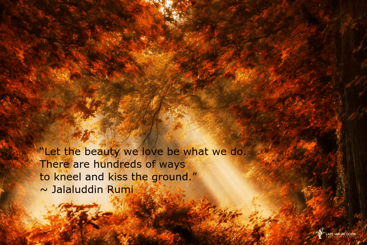 fall-from-lars-van-de-goor