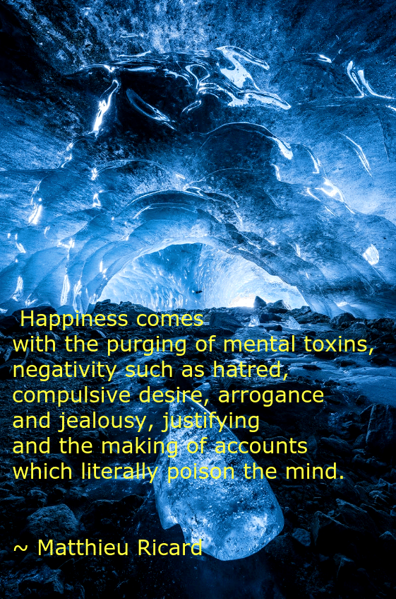 ice-cave from Tobias Ryser