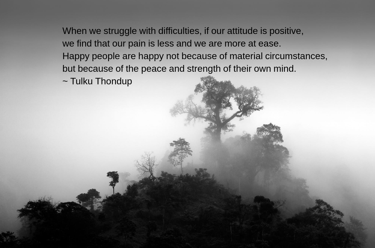 mist-from-chaiyun-damkaew