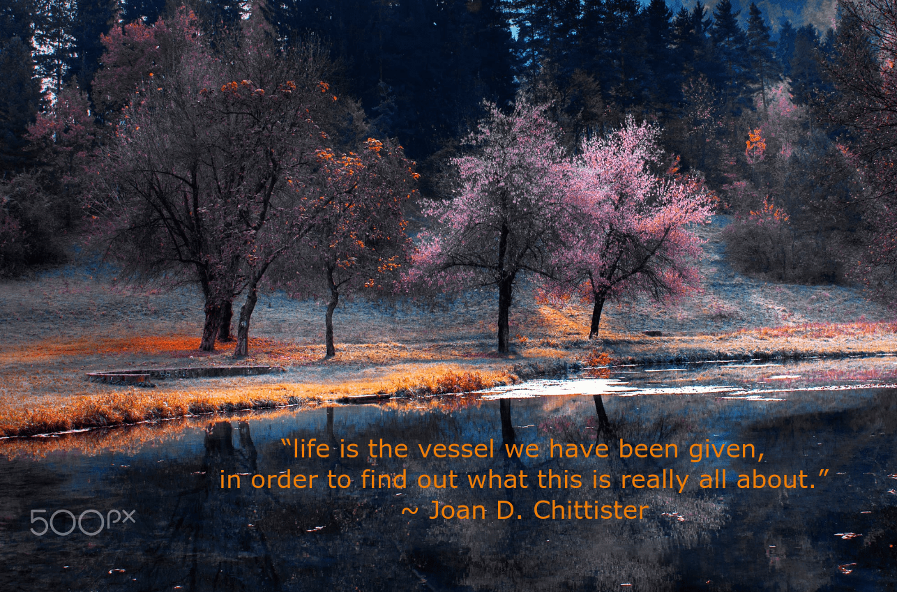 Riverside by Mevludin Sejmenovic