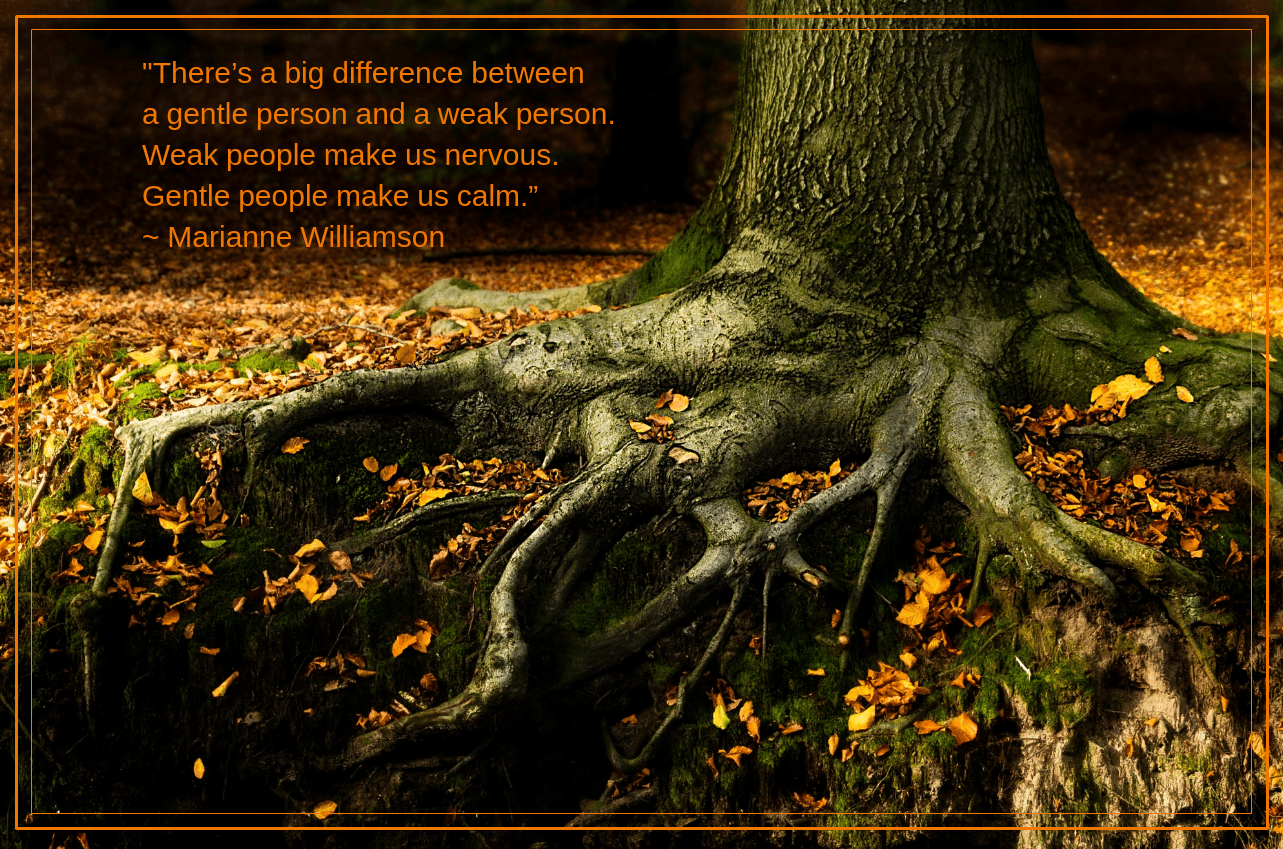 Autumn from Michael Schlitter