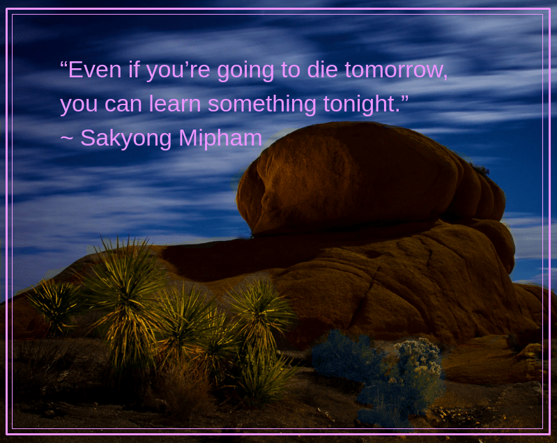 Desert from David Dasinger.png