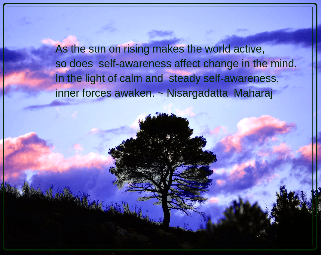 Marathon from Peter Comninellis