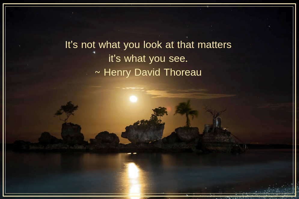 Moonlight from Aleksei Grigorev