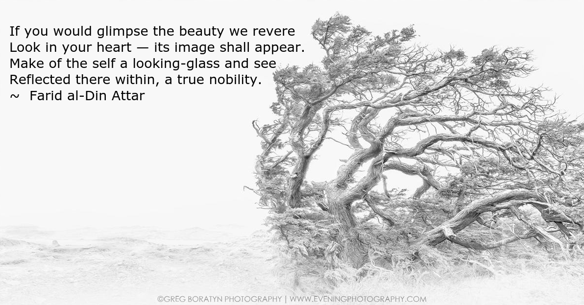 windswept from Greg Boratyn