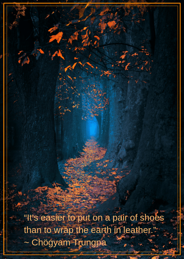 Autumn from Mevludin Sejmenovic.png