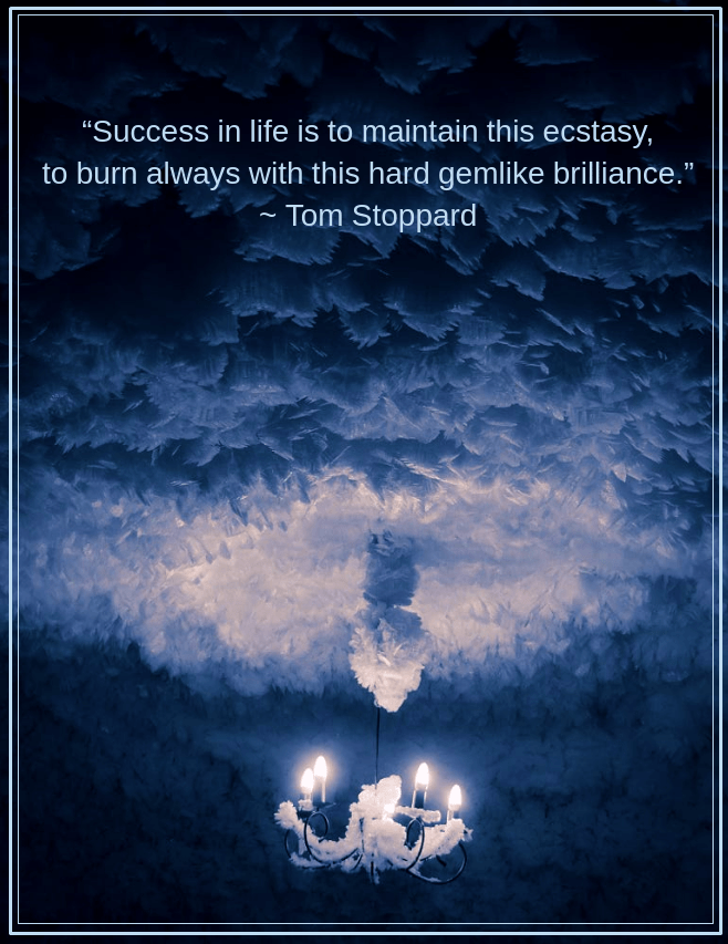 Chandelier from Culture Vixen