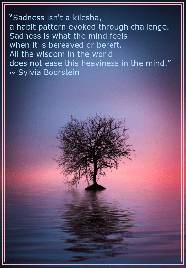 lone tree from Bess Hamiti