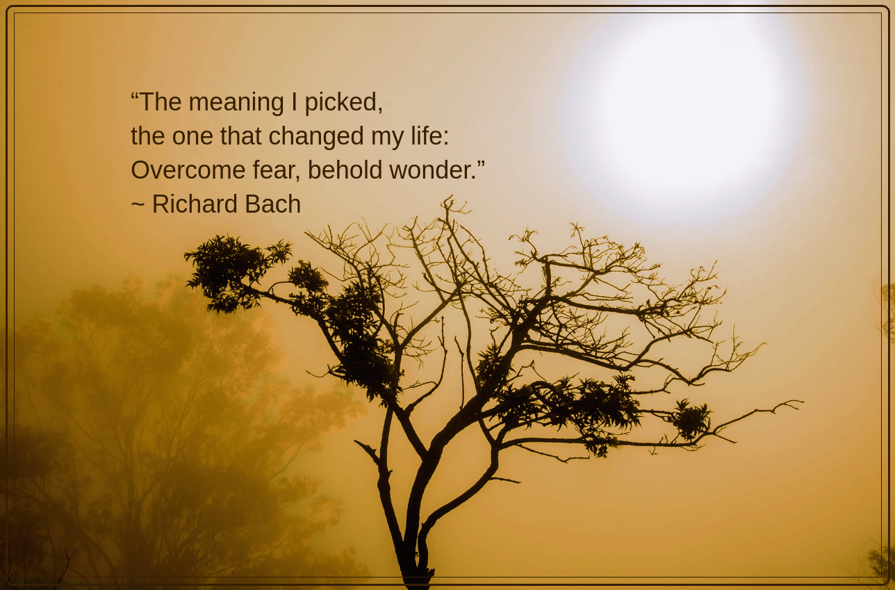 Sunbath from Sharath Appanna