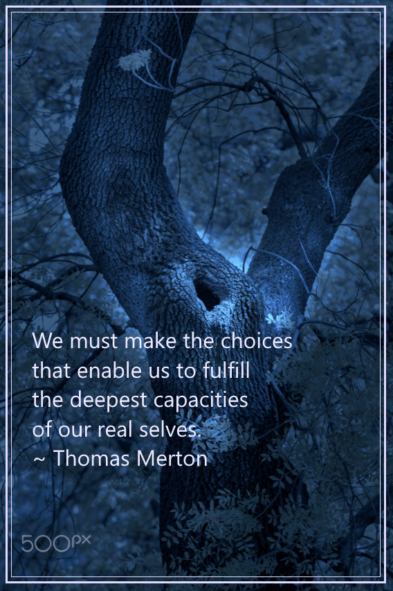 Woodland from Mevludin Sejmenovic (1)