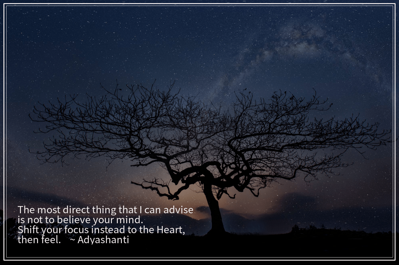 dreamlights from TranTienTrung