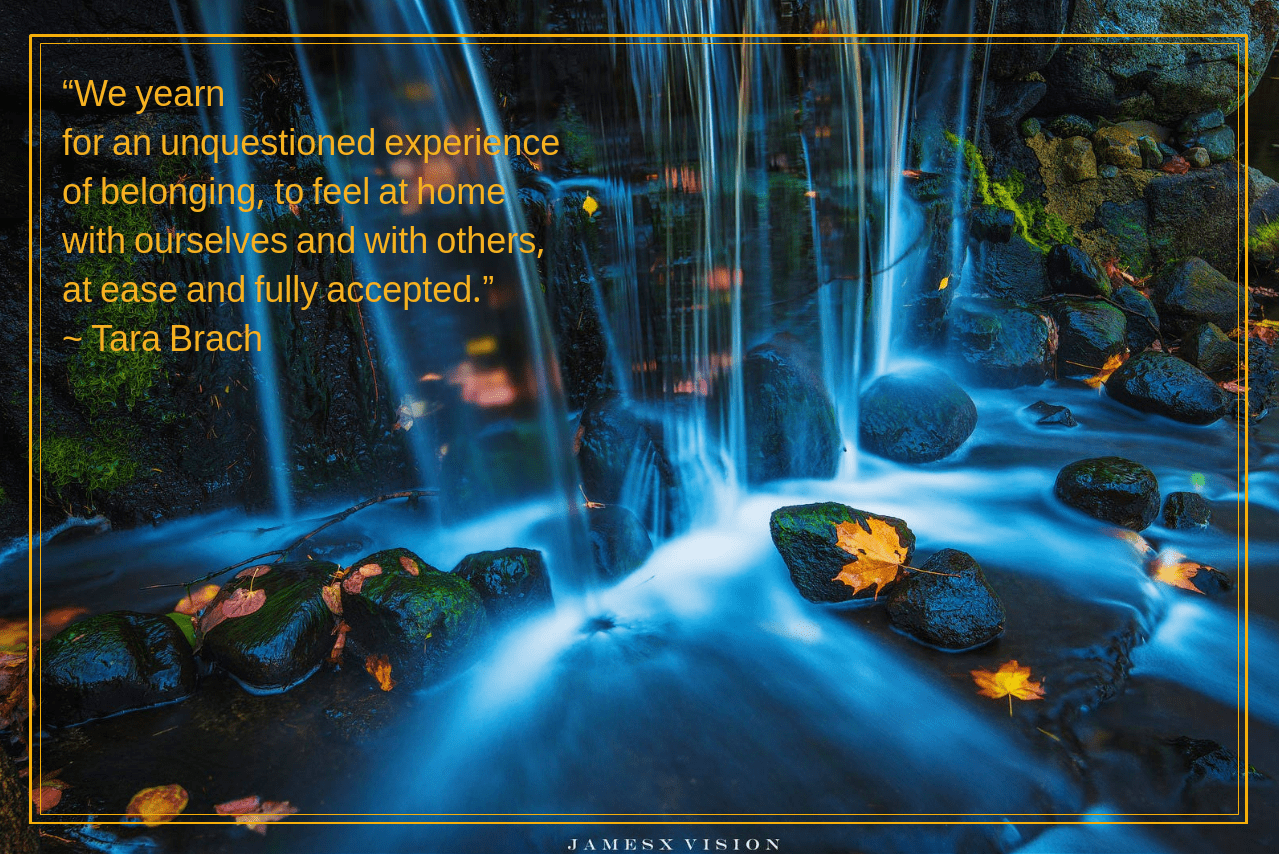 Fall from James Xiang