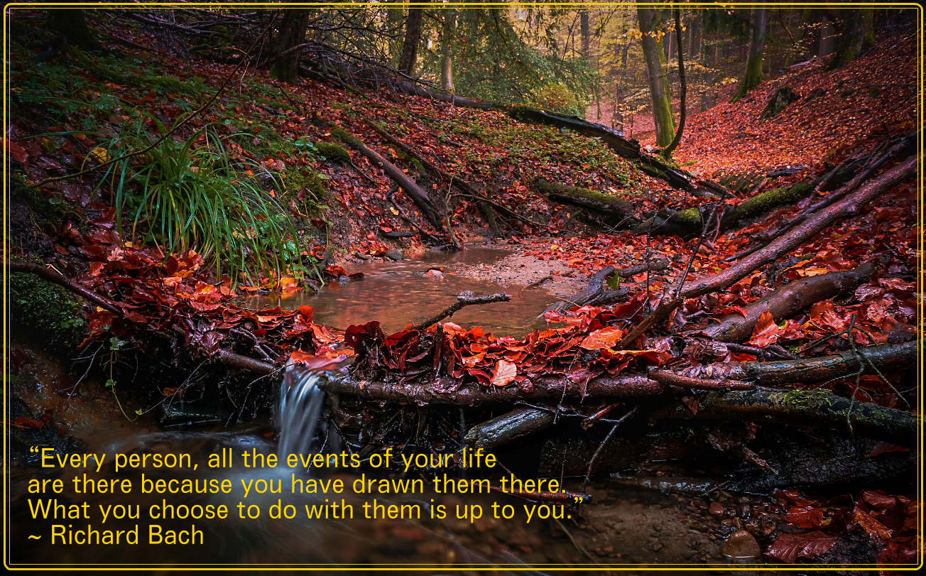 Fall from Joachim Mortensen