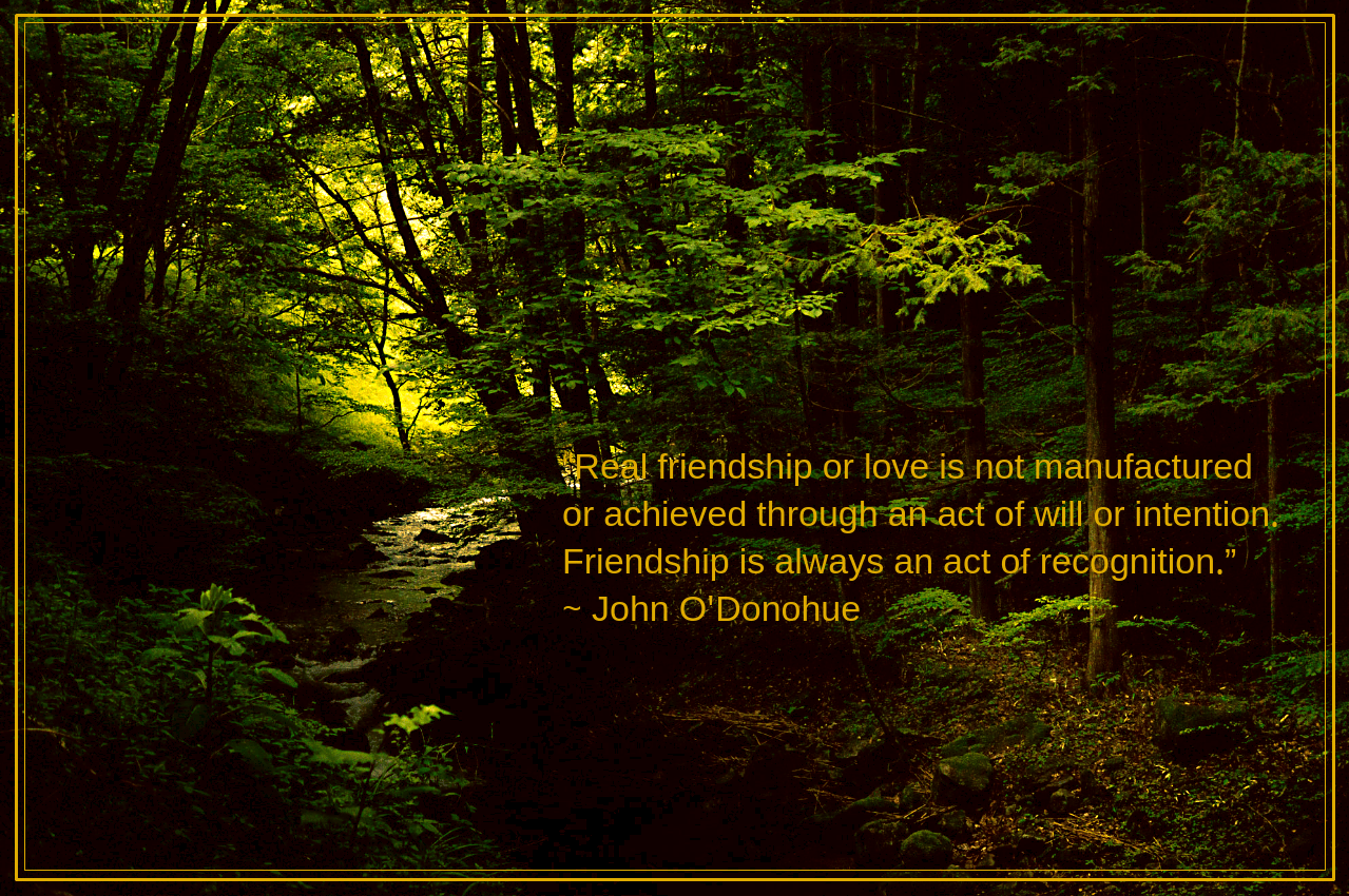 Forest stream from Shigeru Okubo