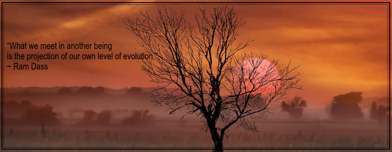 Sunset from Todd Wall