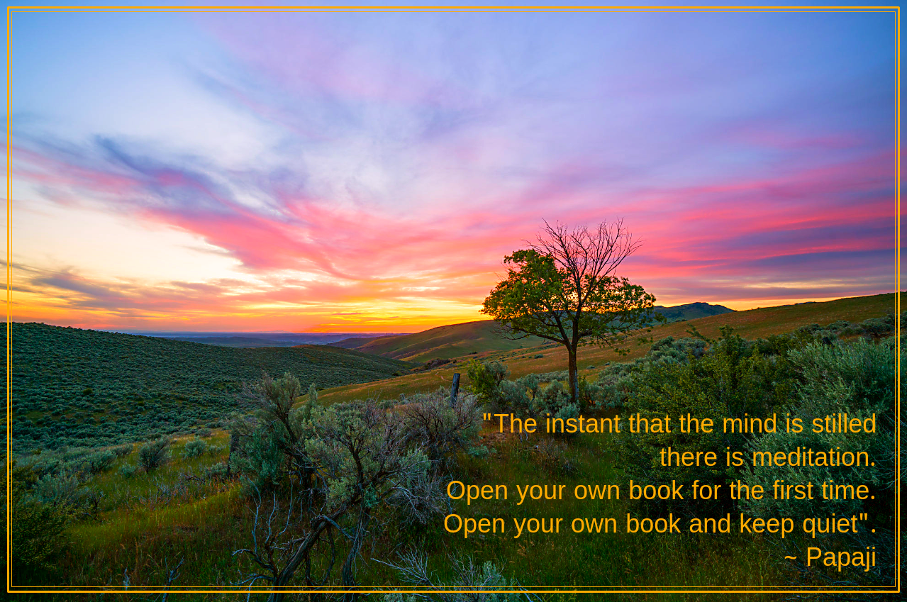 Sunset over Boise by Michael Bonocore