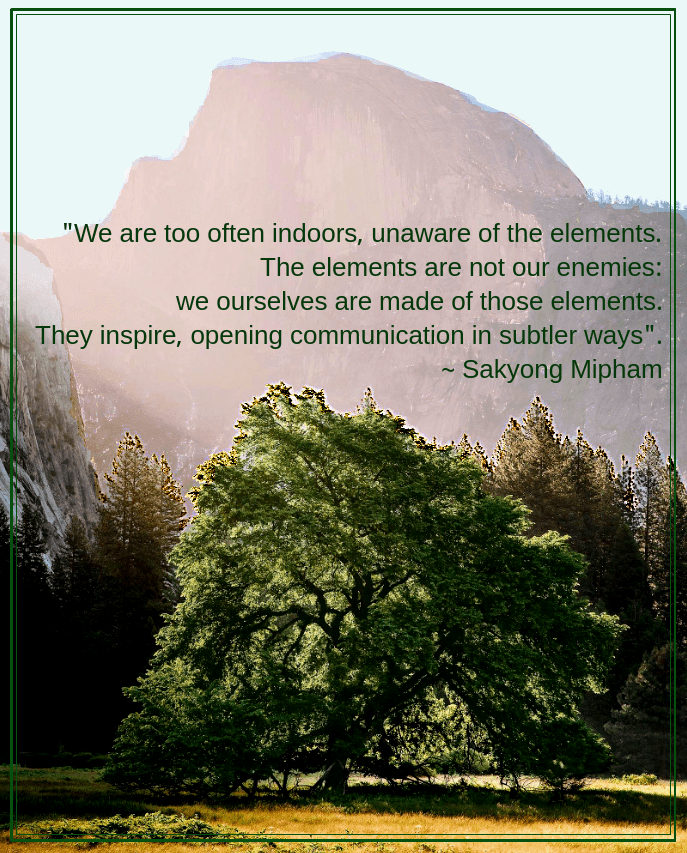 Yosemite from Tanner Wendell Stewart